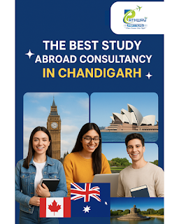 Best immigration in chandigarh