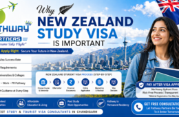 Best Study Visa Consultants in Chandigarh | New Zealand Study Visa Guide 2026 – Pathway Partners